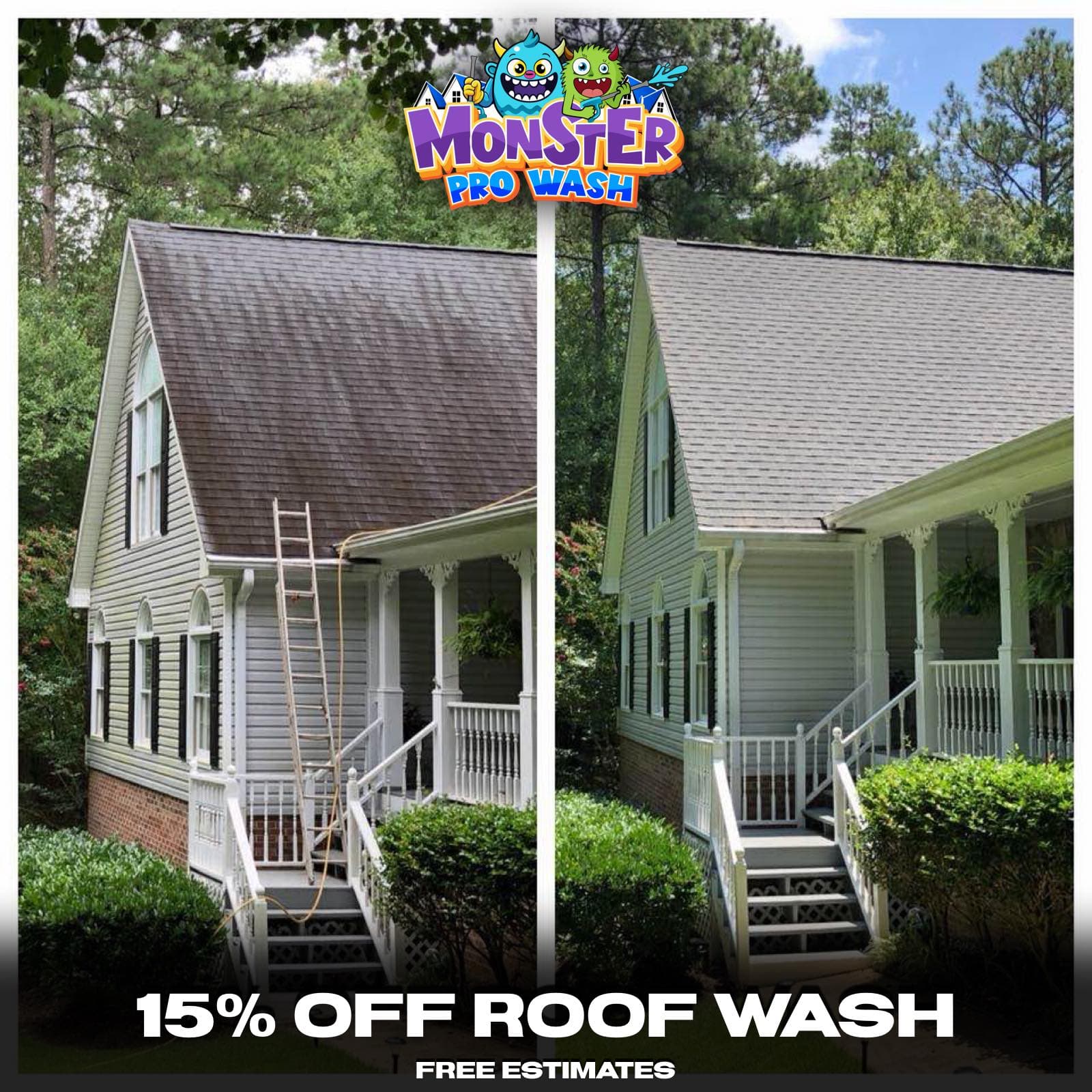 Roof Cleaning