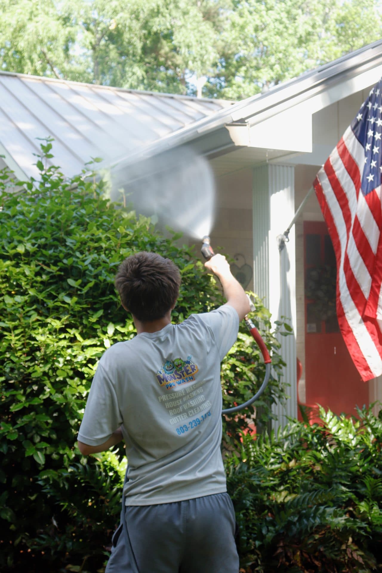 Soft Washing